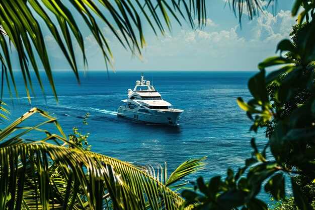 Falcon Island Yacht Charter – Information Plan
