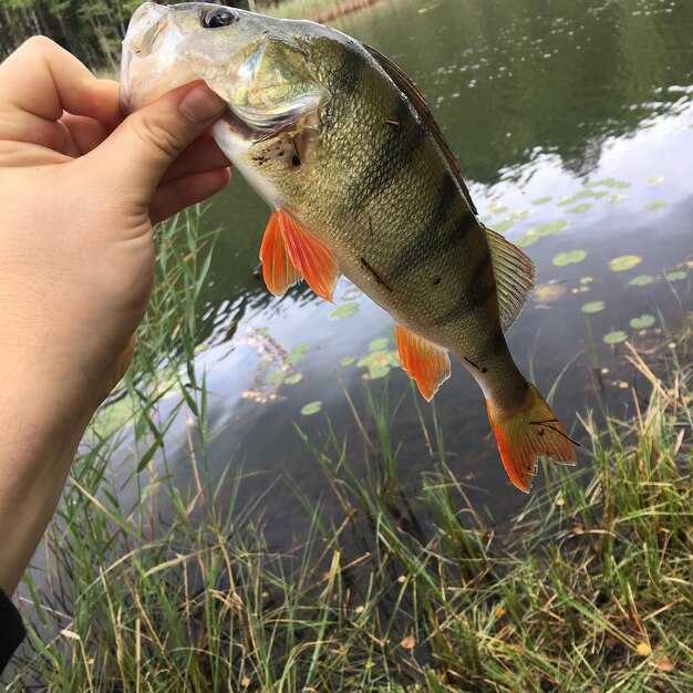 Seasonal Patterns and Water Conditions That Shape Your Day on the Lake