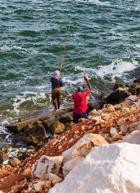 Seasonal windows by species: dorado, marlin, roosterfish, tuna