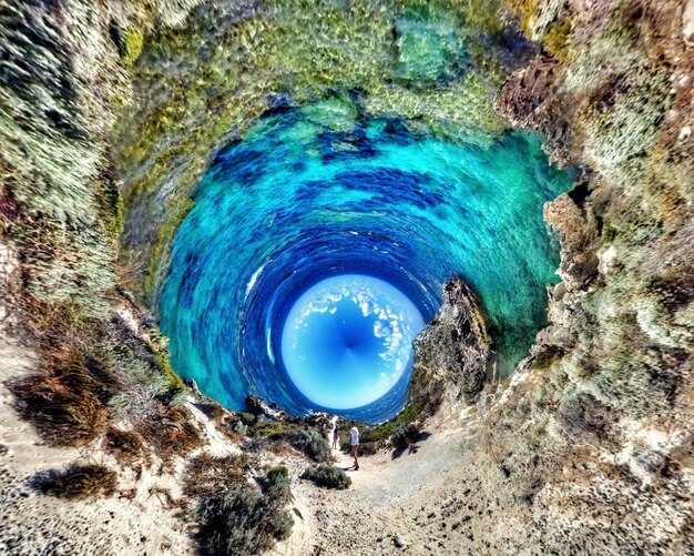 The Weeds, Turneffe Atoll: Coral Gardens, Macro Life, and Top Sightings