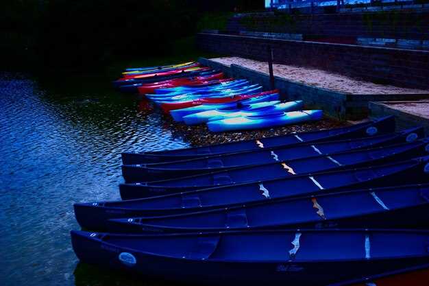 FLIBS 2022 Preview Guide