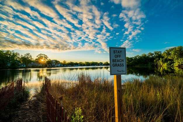 Florida’s Lake Okeechobee Area Guide – Top Sights and Travel Tips
