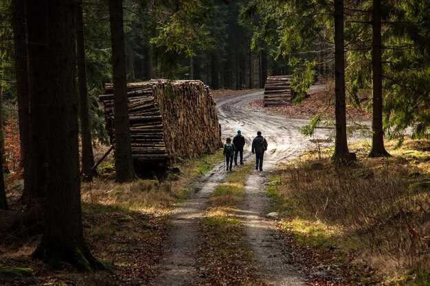 Best Access Points and Parking for Des Plaines River Trails