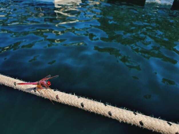 Global O’Neill Wake Park Tour – Ontario – The Ultimate Wakeboarding Experience