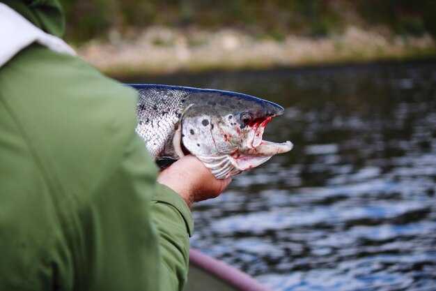 Guided Flats Fishing – Expert Trips for Trophy Bonefish & Redfish