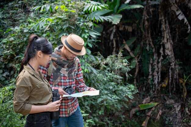 November 2025 weather and sea conditions for diving, snorkeling, and wildlife