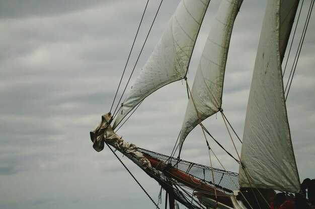 Steering and Weight Shifts: Helm and crew position to improve upwind performance