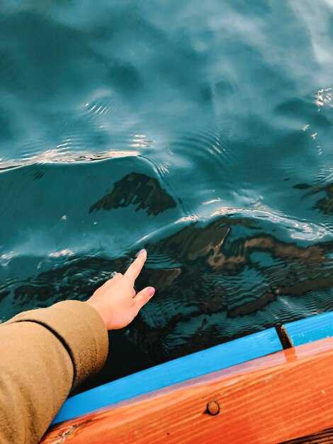 Pre-Voyage Checks: Life Jackets, Flares, and Weather Briefing