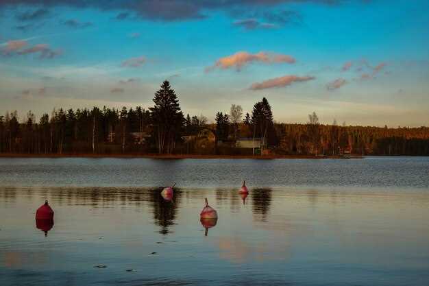 Illinois Lake Towns Guide