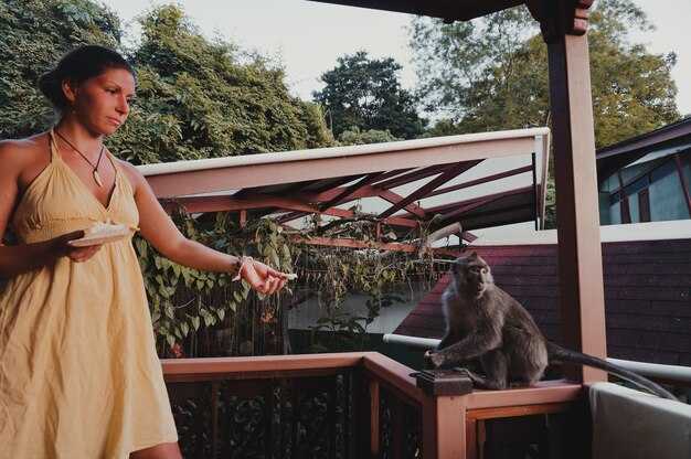 Houseboat Rentals in Mexico & Guna Yala Panama: What to Expect