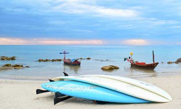 Kayaking and Fishing: Bay Picks, Licenses, and Gear Tips