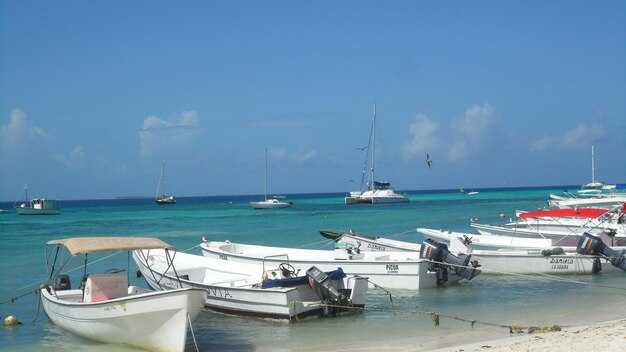 Isle of Palms Marina Fishing Charters – Inshore & Offshore