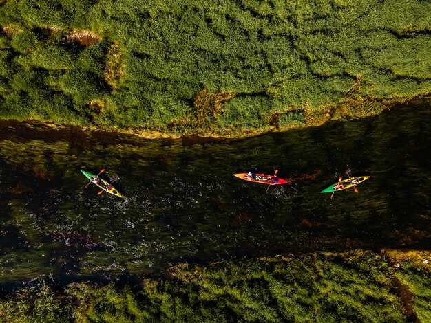 Kayak Nature Adventures – Top Wildlife Paddling Tours