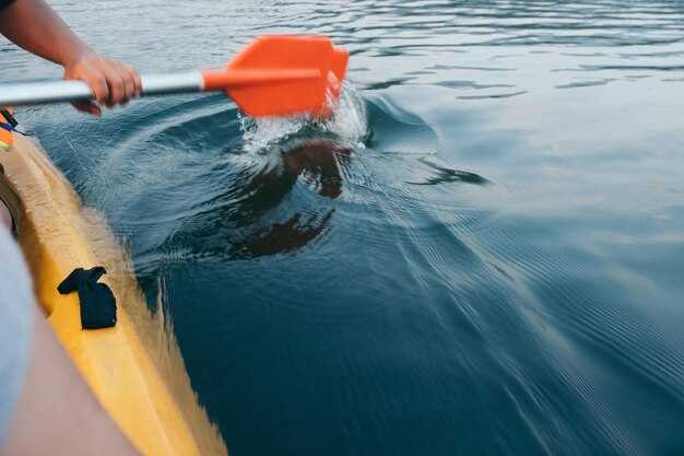 Find Budget Kayak Rentals Near You: Tips to Compare Prices