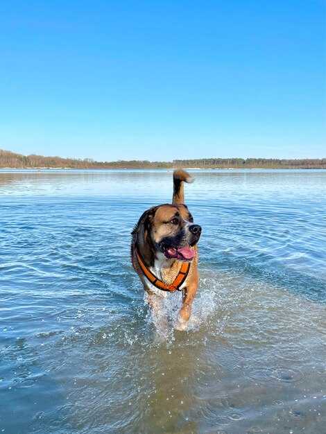 Establish Safe Entry/Exit Points and Training Cues