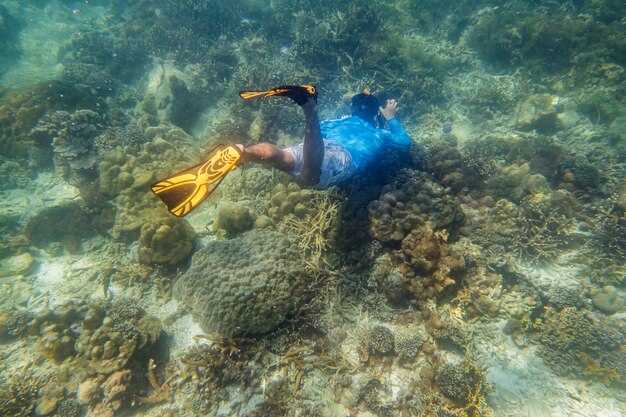 Best Reefs for Snorkeling in Key Largo