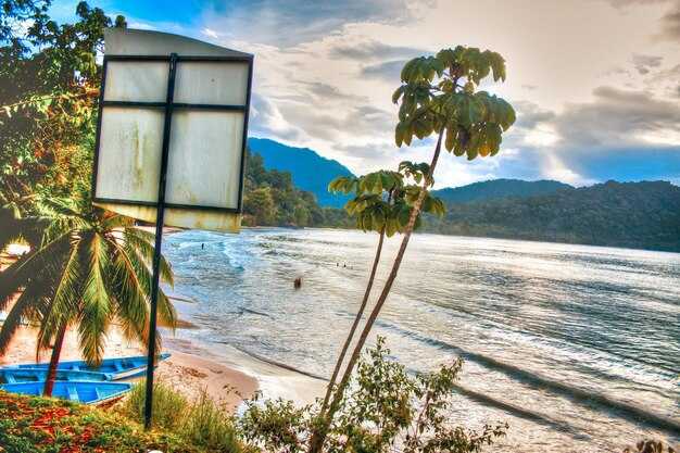 Booking tips: flexible dates, cancellation policies, and taxes