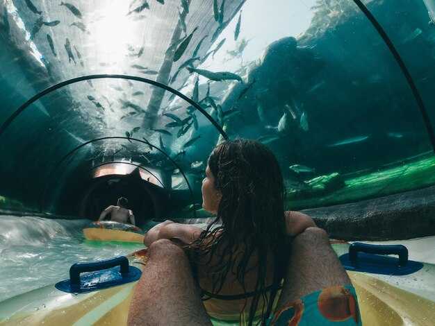 How to Choose a La Paz Dive Operator: Key Questions