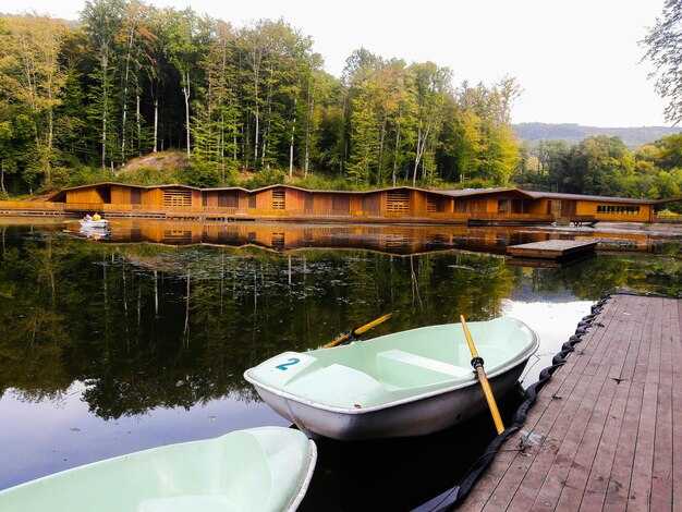 Lake Hamilton Kayak Rental Homes – Best Lakefront Rentals with Included Kayaks