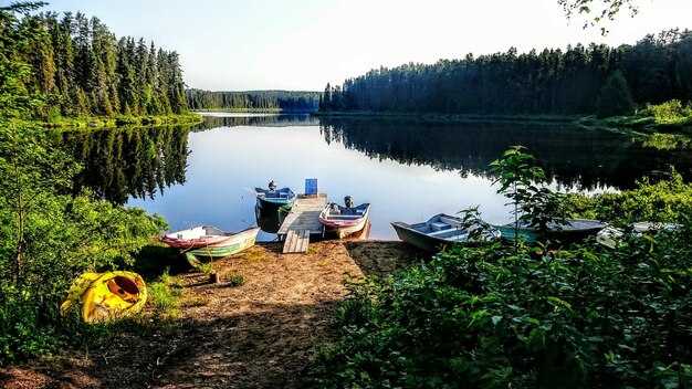 Lake of the Ozarks State Park – Ultimate Guide to Camping, Hiking, and Boating