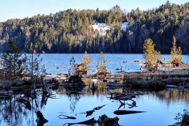 Understand waterfront rules: dock permits, HOA policies, and building codes