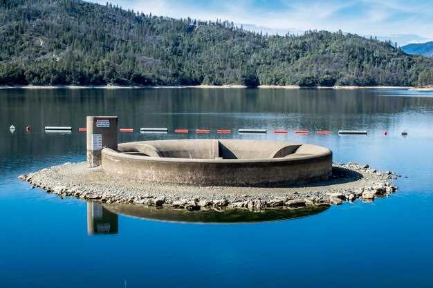 Conservation practices: catch-and-release, habitat protection, and data collection