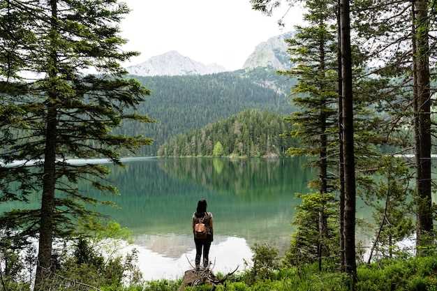 Lakes in Seattle – The Ultimate Guide to Scenic Lakes and Outdoor Fun