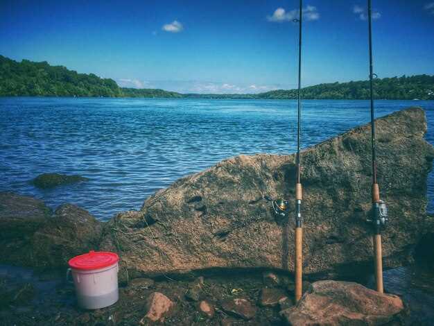 Soft plastics: rigging and swim patterns for beach targets