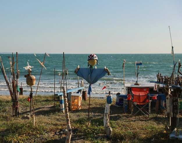 Top target species and how to choose charters by fish you want (tuna, halibut, bass)