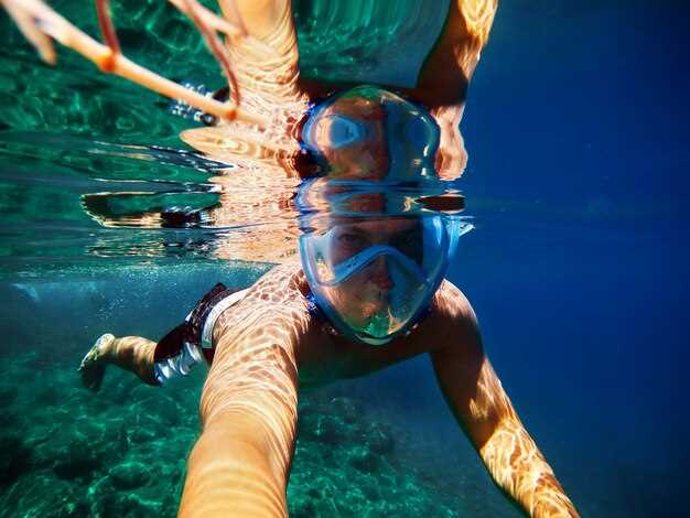 Included Routes and Seasonal Availability