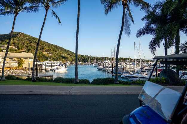 Onboard Dining Customization: Beach Picnics to Sunset Feasts