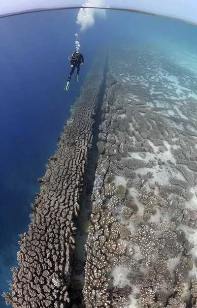 Underwater Landscape: Wrecks, Reefs, and Volcanic Features