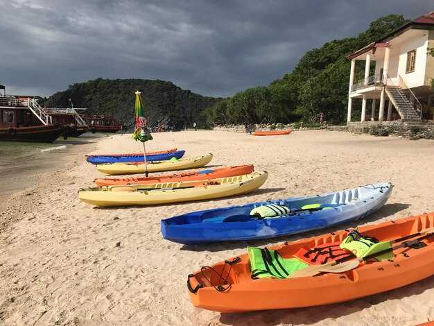 Top Kayak Routes for Dolphin Watching and Scenic Views from a Coastal Town