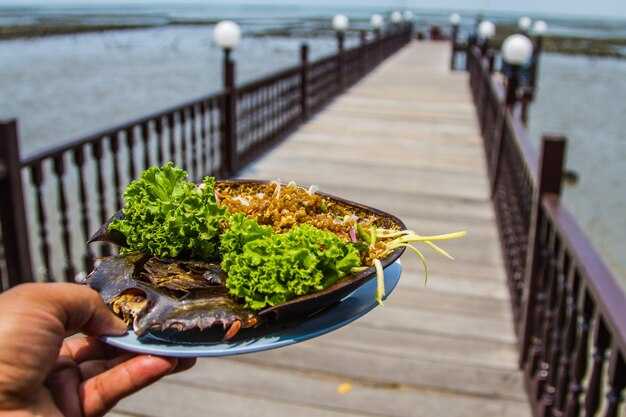 Monterey Life – Your Guide to Coastal Living, Food, and Adventures