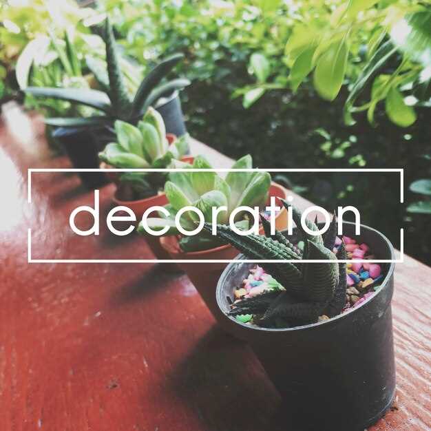 Plan the Albany Island Fishing Adventure: Charters, gear, routes, and safety checks