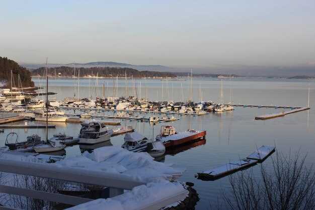 Viewing options with Newport Landing: docks, decks, and guided tours