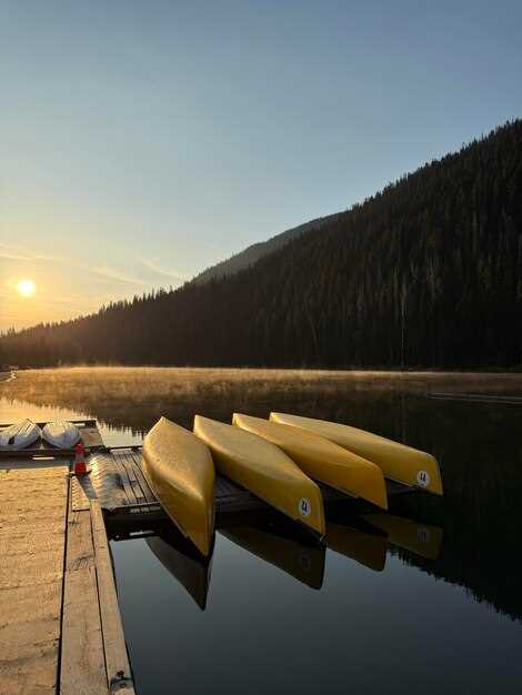 Types of Boats Available for Rent