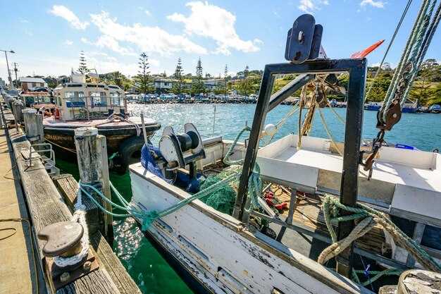 Nuevo Vallarta Fishing Charters | Best Offshore and Inshore Trips