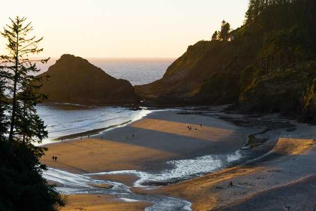 Ocean Isle Beach NC &amp