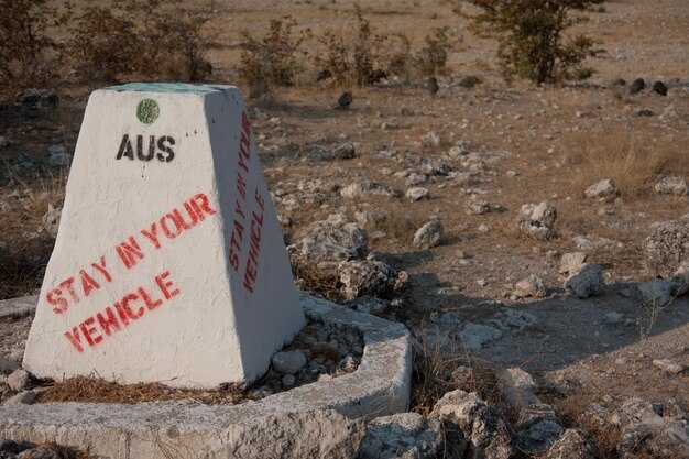 Terrain-Specific Footwear by Tour Type