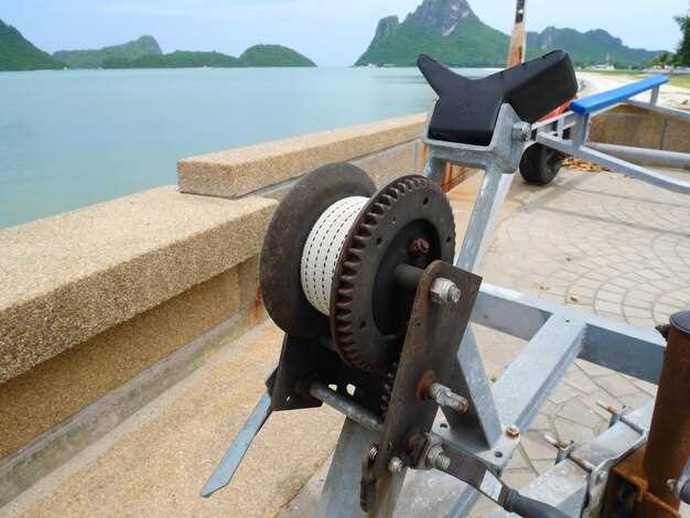 Bleeding, priming, and air removal techniques