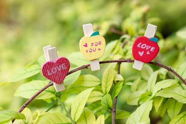 20 Wine & Chocolate Tasting Experiences for Couples Outdoors