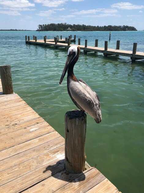 Pelican Bay Denver's Lakeside Getaway