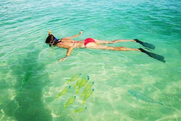 Private Looe Key Snorkel Tour from Big Pine Key