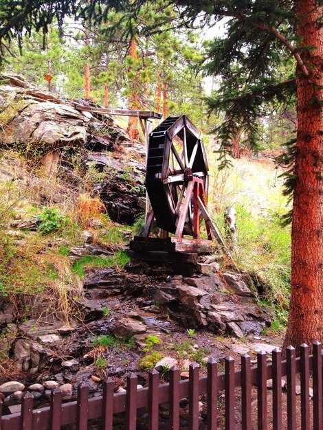 Rare Attractions Highlight Outdoor Recreation in Mooresville, North Carolina