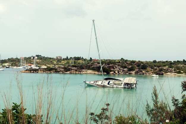 Comfort and Amenities Onboard