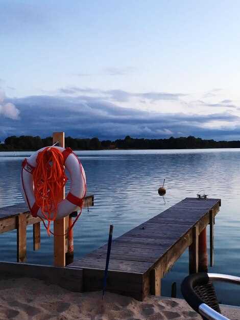 What Makes the LOWE PONTOONS SS 270 Unique?