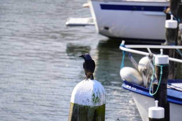 Destination and licensing checks: when local rules apply