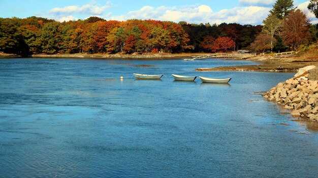 Gear Up Before You Go: Packing Lists, Safety Checks, and Rentals