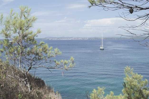 Final-night mooring options: harbors, tides, and docking tips